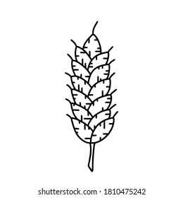 Icono de cebada o garrapato de trigo. Logo del cultivo de grano lineal. Oro vertical de la planta. Ilustración negra para elaboración, agricultura, agricultura, panadería. Símbolo vectorial aislado de contorno, fondo blanco
