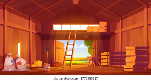 Barn on farm with harvest, straw and hay. Vector cartoon interior of old wooden shed with haystack on loft, ladder, fork, bags and pumpkin. Rural barnhouse for storage harvest