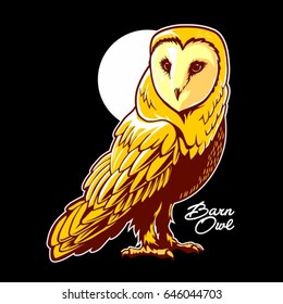 barn owl
