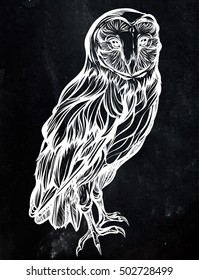 Barn owl. Detailed drawing of a bird.handmade.Vector illustration isolated on  black background