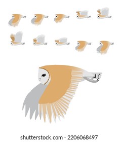 Barn Owl Flying Animation Sequence Cartoon Vector