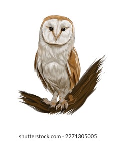 Barn owl from multicolored paints. Splash of watercolor, colored drawing, realistic. Vector illustration of paints