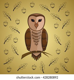 Barn Owl, oak leaves and acorns