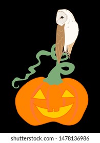 Barn owl on pumpkin lantern halloween vector design