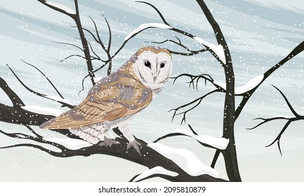 Barn owl on a snow-covered tree branch against a gray winter sky. Wild crow Corvus corax. Realistic vector landscape with birds of the city