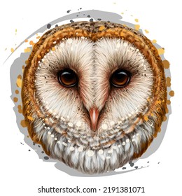 Barn owl. Realistic, color portrait of an owl in watercolor style on a white background. Digital vector drawing.