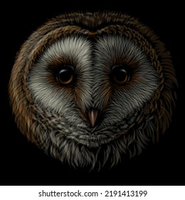 Barn owl. Realistic, color portrait of an owl on a black background. Digital vector drawing.