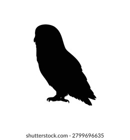 Barn owl silhouette vector flat illustration design.