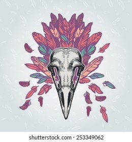 Barn Owl skull on a plumage background. Contains transparent objects