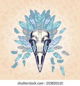 Barn Owl skull on a plumage background. Contains transparent objects