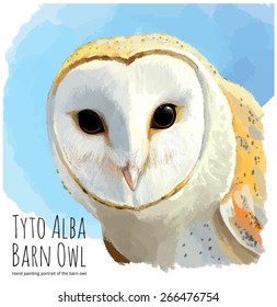 Barn owl or Tyto Alba - linear vector hand drawing