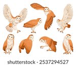 Barn owl. Tyto alba owls, forest bird with snowy face and brown plumage wings flying and sitting poses, night prey animal cartoon isolated birds set swanky vector illustration original artwork