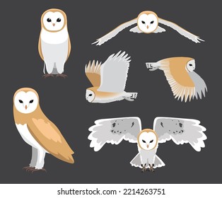 Barn Owl Various Poses Flying Cartoon Vector