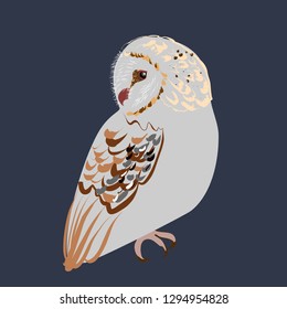 Barn owl vector graphics isolated