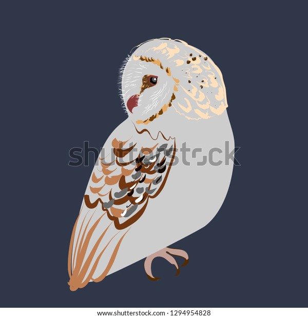 Barn Owl Vector Graphics Isolated Stock Vector (Royalty Free) 1294954828