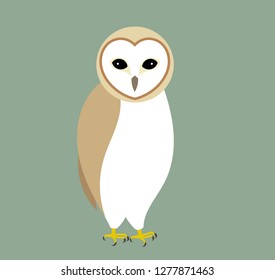The barn owl. Vector illustration.