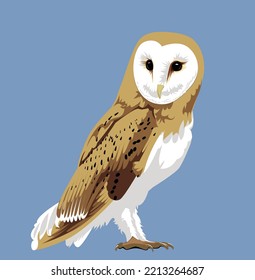Barn Owl Vector Illustration Bird Wildlife North American Animal 