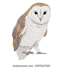 The barn owl. Wild nocturnal predatory bird in the forest. Realistic vector animal