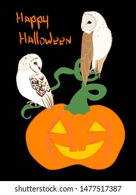 Barn owls on pumpkin lantern halloween vector design, couple of birds