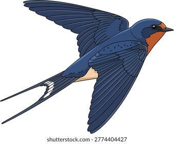 Barn swallow bird in flight with blue and orange plumage bird watching wild migratory hirundo rustica white background animal illustration nature illustration digitally drawn