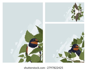 Barn swallow bird vector banner template set. Cute hirundo rustica character on birch tree branches with green leaves, cloud sky background with text copyspace for spring greeting card layout