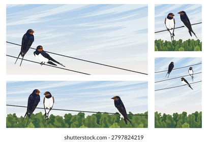 Barn swallow bird vector banner template set. Cute hirundo rustica characters sitting on power lines, blue sky and green forest landscape background with text copyspace for spring greeting card