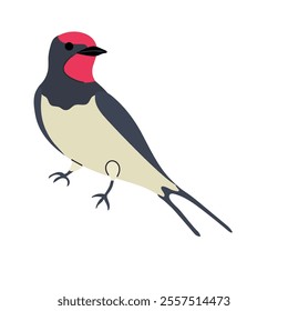 Barn swallow icon clipart avatar logotype isolated vector illustration