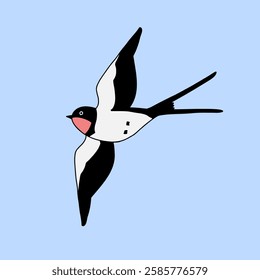 Barn Swallow with Long Tail and Sharp Wings on a blue background. Cartoon simple flat illustration.