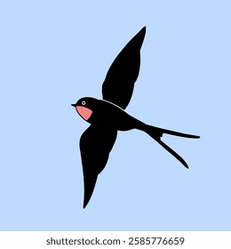 Barn Swallow with Long Tail and Sharp Wings on a blue background. Cartoon simple flat illustration.