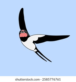 Barn Swallow with Long Tail and Sharp Wings on a blue background. Cartoon simple flat illustration.