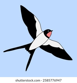 Barn Swallow with Long Tail and Sharp Wings on a blue background. Cartoon simple flat illustration.