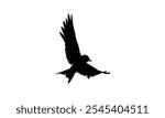 Barn Swallow Silhouette Design  And Vector Illustration. 