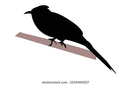 Barn Swallow Silhouette Design  And Vector Illustration. 