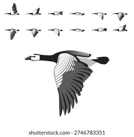 Barnacle Goose Flying Animation Sequence Cartoon Vector