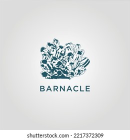 barnacle group vintage hand drawing, vector