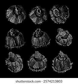 barnacle hand drawing vector isolated on black background.