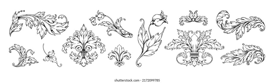Baroque arabesque floral ornaments. Rococo acanthus curl scrollwork. Engraved Victorian flourish. Flower and decorative leaves isolated elements. Botanical motif. Vector classic set