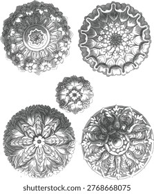 baroque classic illustration object flower.eps
