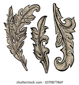 Baroque curved branch with leaves. Design element on white background.