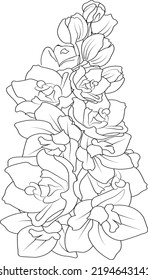 baroque flower Delphinium, larkspur flower hand drawn illustration of vector sketch isolated flower buds botanical collection coloring book engraved ink art
