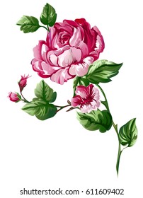 Baroque Rose Flower Element Separatedsketchseparate Floral Stock Vector ...