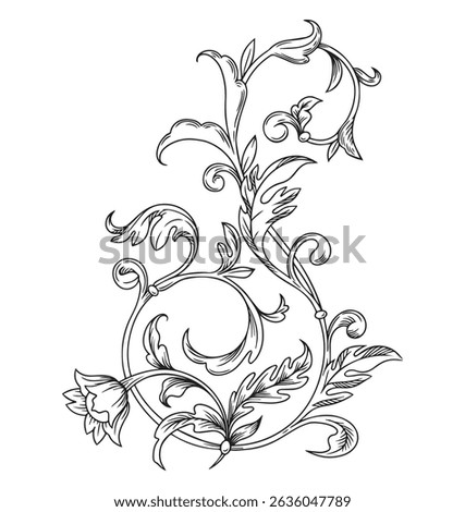 Baroque Scroll element engraving Ornament. Victorian filigree decoration element, Floral flourish Graphic vector illustration