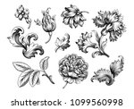 Baroque vintage floral set of rose peony carnation flowers. Black and white Victorian frame border ornament. Engraved leaf scroll vector retro pattern. Filigree design of decorative tattoo.