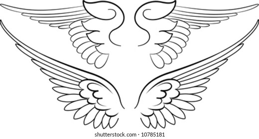 Baroque Wings in Calligraphy Style. Vector Illustration.