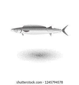 Barracouta fish with stipple effect in black and white