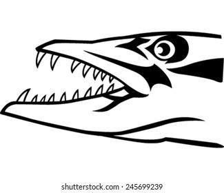 Barracuda