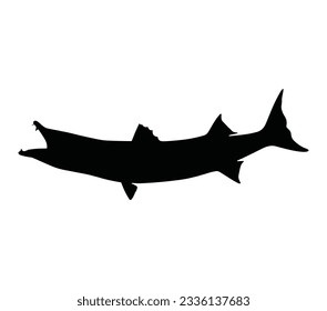 Barracuda Black Silhouette Vektorgrafik