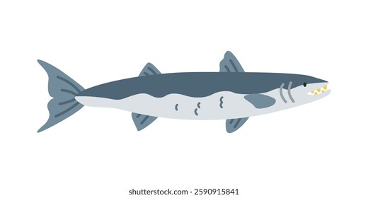 Barracuda cartoon clipart. Cute barracuda fish (Sphyraena) vector illustration. Animal in flat style. Sea animals concept isolated on white background