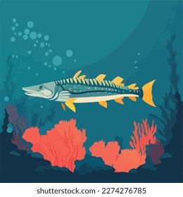 Barracuda in coral reef. Underwater fish and sea creatures in natural habitat. Flat vector illustration concept