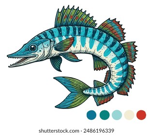 Barracuda fish color on a white background